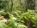 Helderberg Nature Reserve