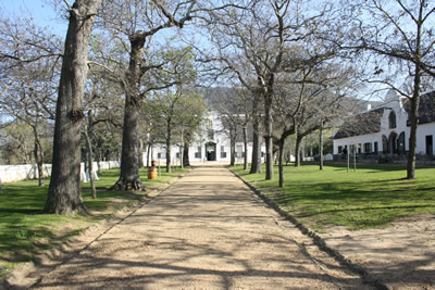 Groot Constantia
