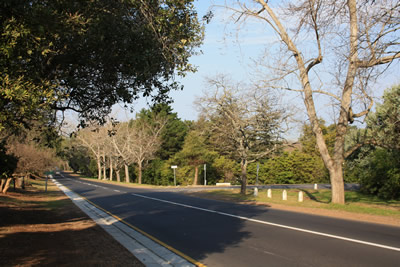 Constantia