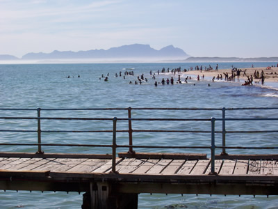 Strand Jetty and Beach