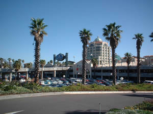 Camps Bay Photo