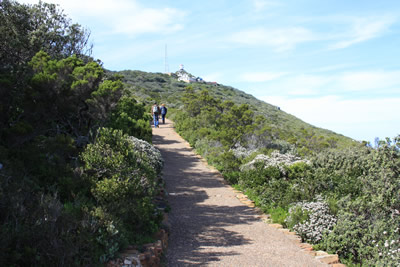 Cape Point