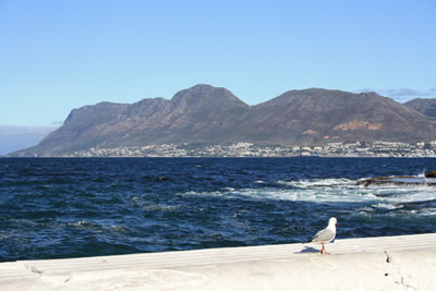 Cape Town Hout Bay