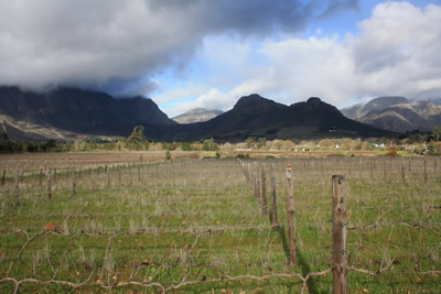 Franschhoek