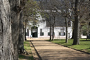 Groot Constantia