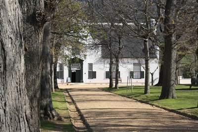 Groot Constantia