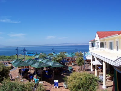 Hermanus Restaurants