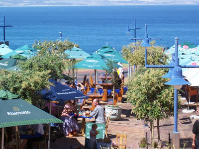 Hermanus Tourism