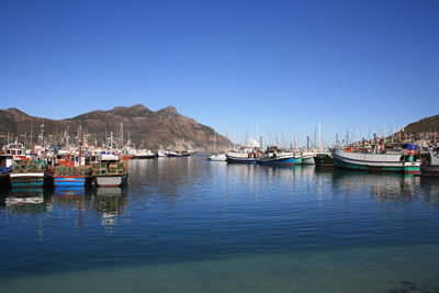 Hout Bay Harbour