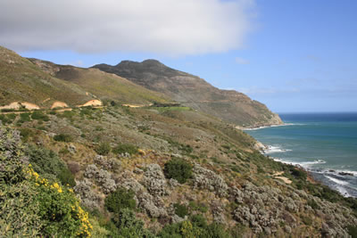 Hout Bay cApe Town