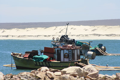 Lamberts BAy Boats
