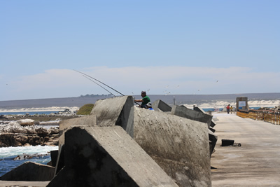 Lamberts Bay Fisherman