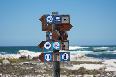 Lamberts Bay Bird Island