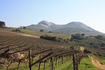 Paarl