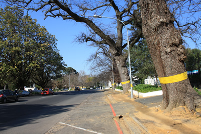 Paarl