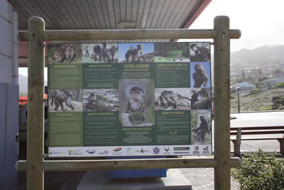 Simons Town Baboon Notice