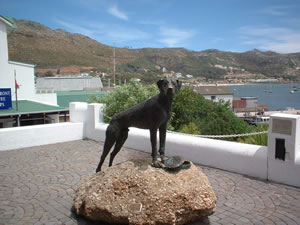 Simons Town Photo