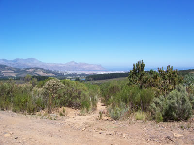 somerset west nature reserve