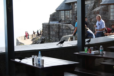 Table Mountain