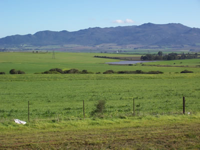 Wellington Farm